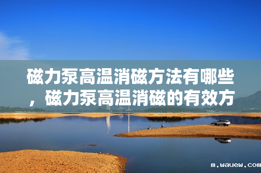 磁力泵高温消磁方法有哪些,磁力泵高温消磁的有效方法探讨 磁力泵高温消磁方法有哪些,磁力泵高温消磁的有效方法探讨