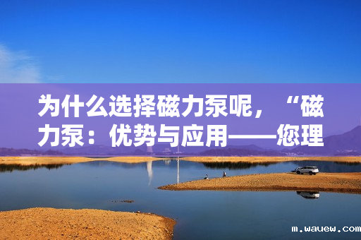为什么选择磁力泵呢,“磁力泵:优势与应用——您理想的选择理由” 为什么选择磁力泵呢,“磁力泵:优势与应用——您理想的选择理由”
