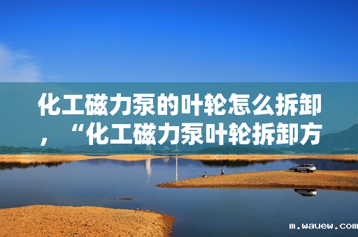 化工磁力泵的叶轮怎么拆卸,“化工磁力泵叶轮拆卸方法详解” 化工磁力泵的叶轮怎么拆卸,“化工磁力泵叶轮拆卸方法详解”