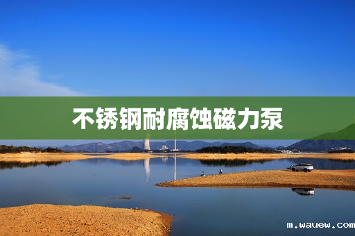 不锈钢耐腐蚀磁力泵 不锈钢耐腐蚀磁力泵