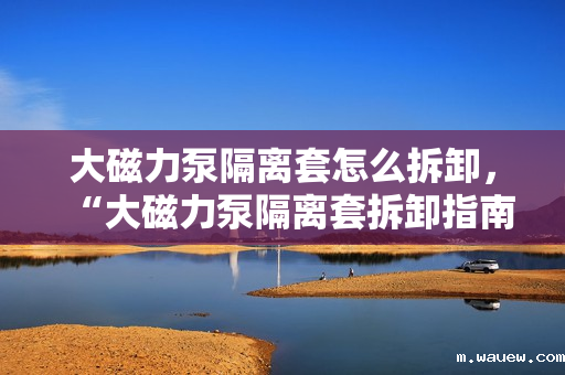 大磁力泵隔离套怎么拆卸,“大磁力泵隔离套拆卸指南:步骤与注意事项” 大磁力泵隔离套怎么拆卸,“大磁力泵隔离套拆卸指南:步骤与注意事项”