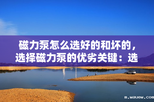 磁力泵怎么选好的和坏的,选择磁力泵的优劣关键:选购指南与判别技巧 磁力泵怎么选好的和坏的,选择磁力泵的优劣关键:选购指南与判别技巧