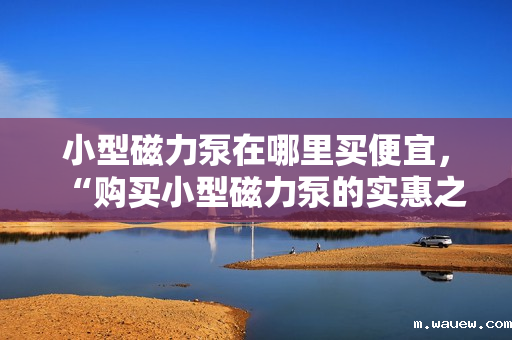 小型磁力泵在哪里买便宜,“购买小型磁力泵的实惠之选:哪里能找到价格更优惠的磁力泵?” 小型磁力泵在哪里买便宜,“购买小型磁力泵的实惠之选:哪里能找到价格更优惠的磁力泵?”