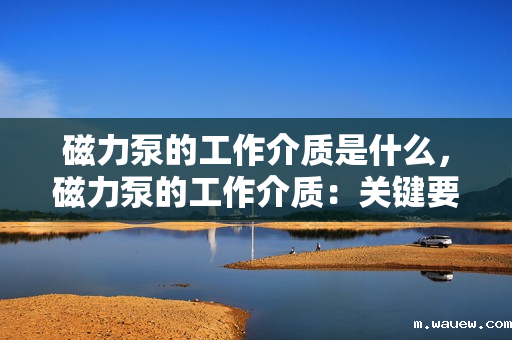 磁力泵的工作介质是什么,磁力泵的工作介质:关键要素与特性解析 磁力泵的工作介质是什么,磁力泵的工作介质:关键要素与特性解析