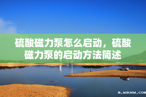 硫酸磁力泵怎么启动,硫酸磁力泵的启动方法简述 硫酸磁力泵怎么启动,硫酸磁力泵的启动方法简述