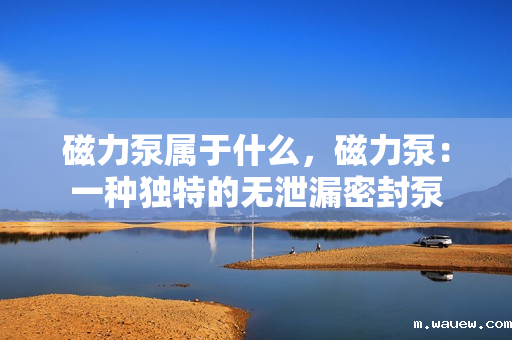 磁力泵属于什么,磁力泵:一种独特的无泄漏密封泵 磁力泵属于什么,磁力泵:一种独特的无泄漏密封泵