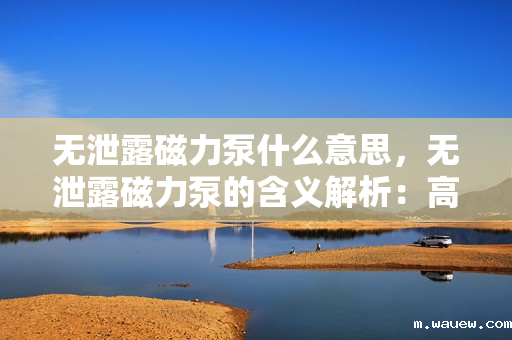 无泄露磁力泵什么意思,无泄露磁力泵的含义解析:高效、安全、环保的流体输送解决方案 无泄露磁力泵什么意思,无泄露磁力泵的含义解析:高效、安全、环保的流体输送解决方案