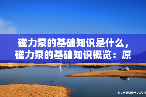 磁力泵的基础知识是什么,磁力泵的基础知识概览:原理、特点及应用领域 磁力泵的基础知识是什么,磁力泵的基础知识概览:原理、特点及应用领域