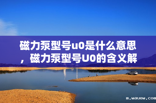 磁力泵型号u0是什么意思,磁力泵型号U0的含义解析 磁力泵型号u0是什么意思,磁力泵型号U0的含义解析