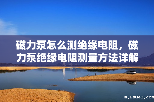 磁力泵怎么测绝缘电阻,磁力泵绝缘电阻测量方法详解 磁力泵怎么测绝缘电阻,磁力泵绝缘电阻测量方法详解