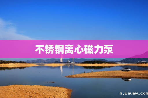 不锈钢离心磁力泵 不锈钢离心磁力泵