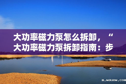 大功率磁力泵怎么拆卸,“大功率磁力泵拆卸指南:步骤与注意事项一览” 大功率磁力泵怎么拆卸,“大功率磁力泵拆卸指南:步骤与注意事项一览”