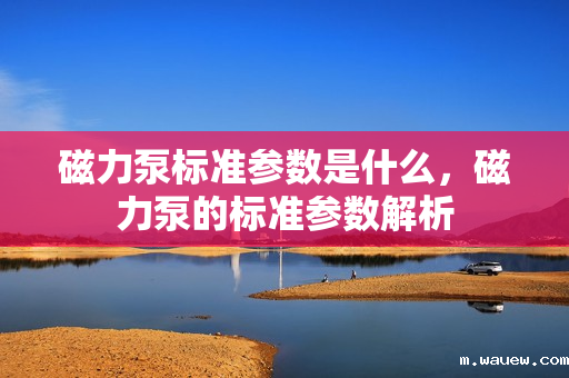 磁力泵标准参数是什么,磁力泵的标准参数解析 磁力泵标准参数是什么,磁力泵的标准参数解析