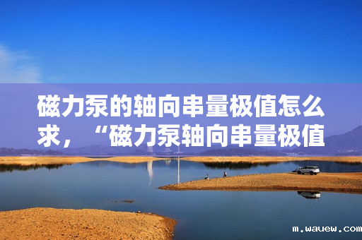 磁力泵的轴向串量极值怎么求,“磁力泵轴向串量极值计算方法探讨” 磁力泵的轴向串量极值怎么求,“磁力泵轴向串量极值计算方法探讨”