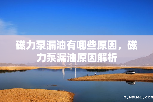 磁力泵漏油有哪些原因,磁力泵漏油原因解析 磁力泵漏油有哪些原因,磁力泵漏油原因解析