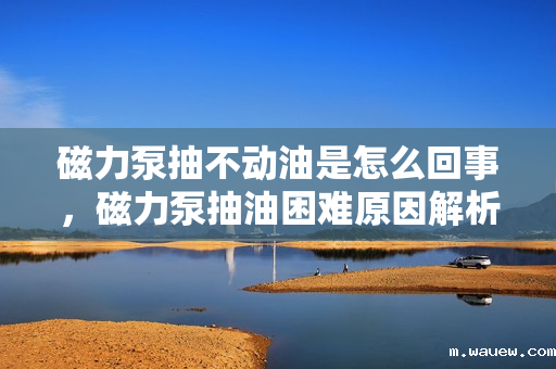 磁力泵抽不动油是怎么回事,磁力泵抽油困难原因解析:故障排查与解决方案 磁力泵抽不动油是怎么回事,磁力泵抽油困难原因解析:故障排查与解决方案