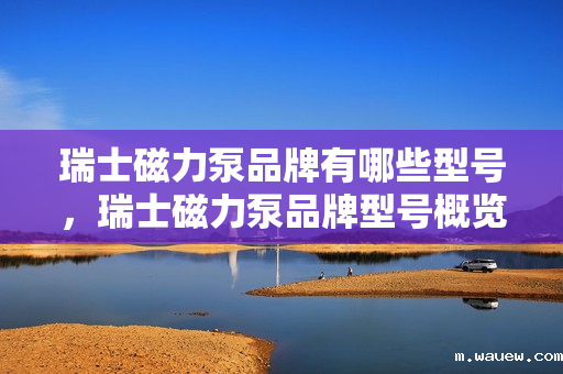 瑞士磁力泵品牌有哪些型号,瑞士磁力泵品牌型号概览:了解不同型号满足您的需求 瑞士磁力泵品牌有哪些型号,瑞士磁力泵品牌型号概览:了解不同型号满足您的需求