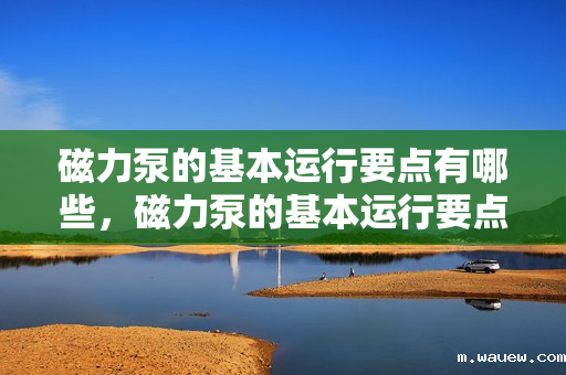磁力泵的基本运行要点有哪些,磁力泵的基本运行要点概览:确保高效稳定运行的关键要素 磁力泵的基本运行要点有哪些,磁力泵的基本运行要点概览:确保高效稳定运行的关键要素