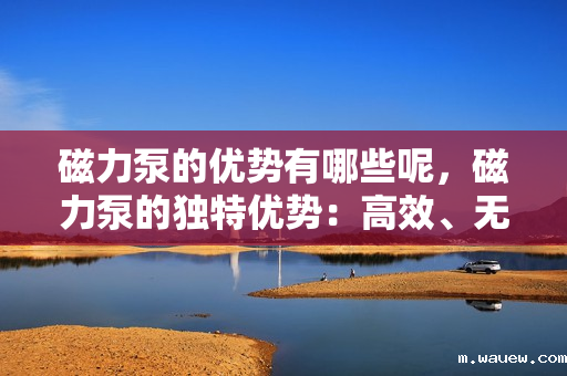 磁力泵的优势有哪些呢,磁力泵的独特优势:高效、无泄漏与长寿命的完美结合 磁力泵的优势有哪些呢,磁力泵的独特优势:高效、无泄漏与长寿命的完美结合