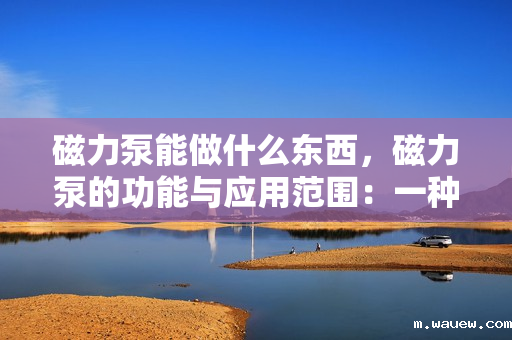 磁力泵能做什么东西,磁力泵的功能与应用范围:一种高效、安全的无泄漏输送设备 磁力泵能做什么东西,磁力泵的功能与应用范围:一种高效、安全的无泄漏输送设备