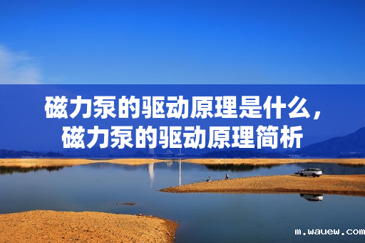 磁力泵的驱动原理是什么,磁力泵的驱动原理简析 磁力泵的驱动原理是什么,磁力泵的驱动原理简析