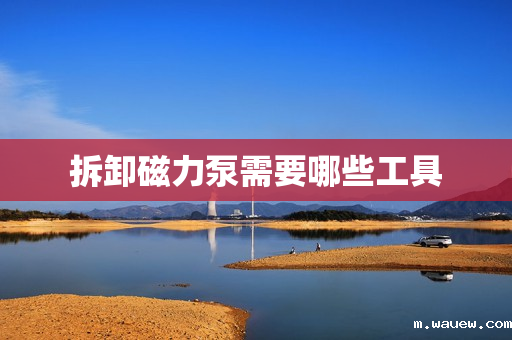 拆卸磁力泵需要哪些工具 拆卸磁力泵需要哪些工具