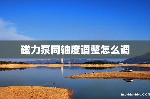 磁力泵同轴度调整怎么调 磁力泵同轴度调整怎么调