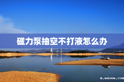 磁力泵抽空不打液怎么办 磁力泵抽空不打液怎么办