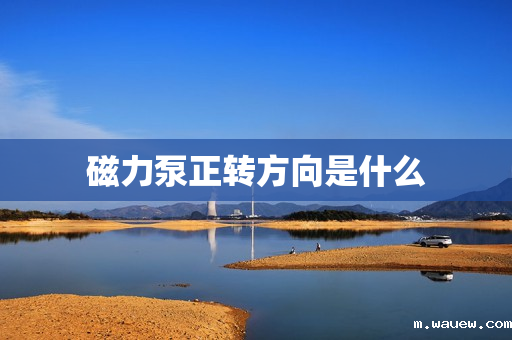 磁力泵正转方向是什么 磁力泵正转方向是什么