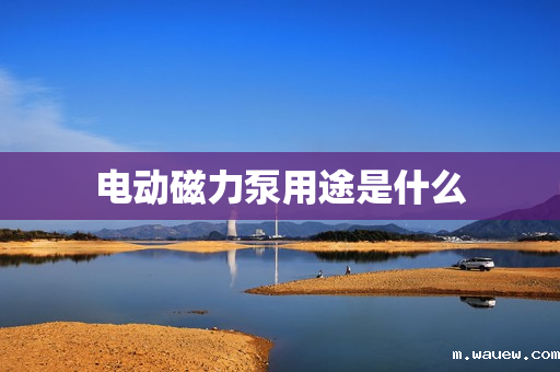 电动磁力泵用途是什么 电动磁力泵用途是什么