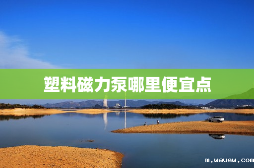 塑料磁力泵哪里便宜点 塑料磁力泵哪里便宜点
