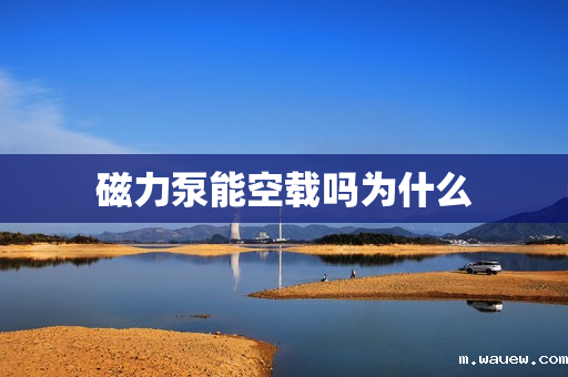 磁力泵能空载吗为什么 磁力泵能空载吗为什么