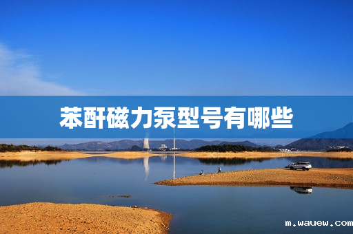 苯酐磁力泵型号有哪些 苯酐磁力泵型号有哪些