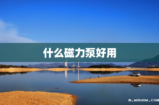 什么磁力泵好用 什么磁力泵好用