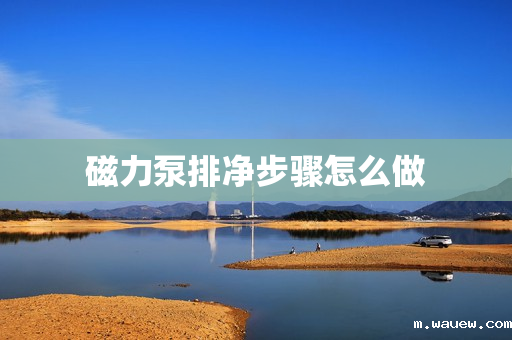 磁力泵排净步骤怎么做 磁力泵排净步骤怎么做