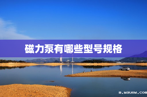 磁力泵有哪些型号规格 磁力泵有哪些型号规格