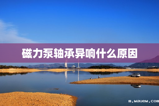 磁力泵轴承异响什么原因 磁力泵轴承异响什么原因