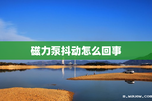 磁力泵抖动怎么回事 磁力泵抖动怎么回事