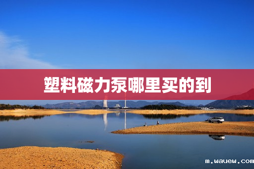 塑料磁力泵哪里买的到 塑料磁力泵哪里买的到