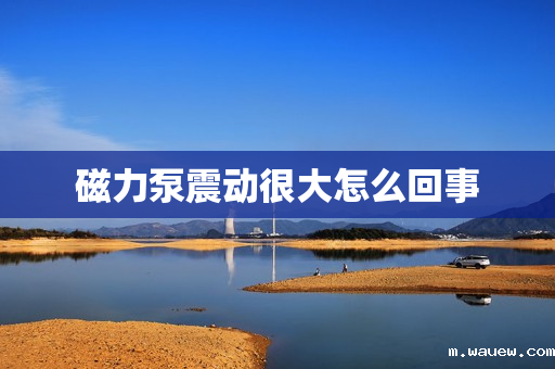 磁力泵震动很大怎么回事 磁力泵震动很大怎么回事