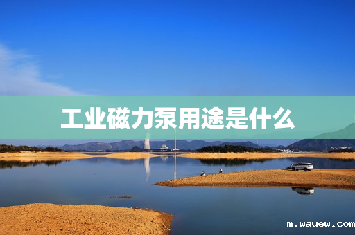 工业磁力泵用途是什么 工业磁力泵用途是什么