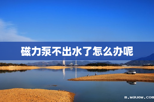 磁力泵不出水了怎么办呢 磁力泵不出水了怎么办呢