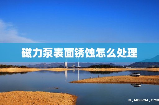 磁力泵表面锈蚀怎么处理 磁力泵表面锈蚀怎么处理