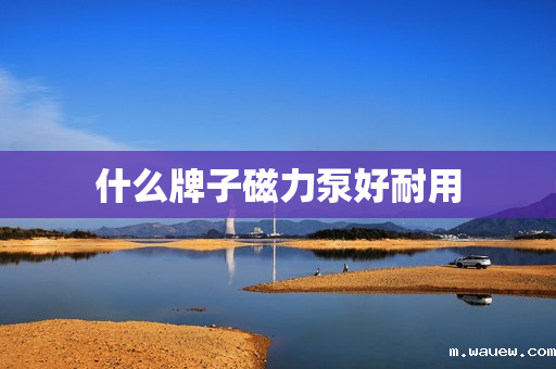 什么牌子磁力泵好耐用 什么牌子磁力泵好耐用