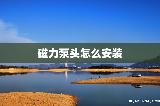 磁力泵头怎么安装 磁力泵头怎么安装
