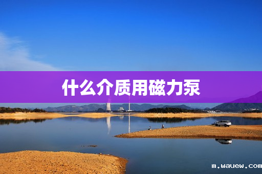 什么介质用磁力泵 什么介质用磁力泵