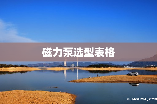 磁力泵选型表格 磁力泵选型表格