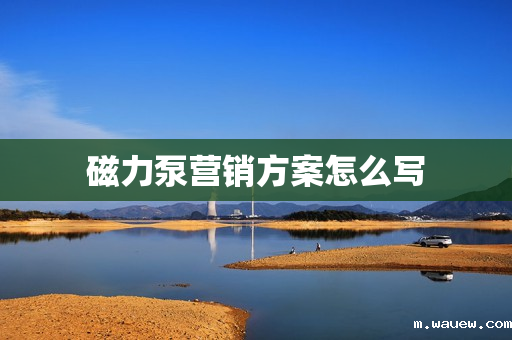 磁力泵营销方案怎么写 磁力泵营销方案怎么写