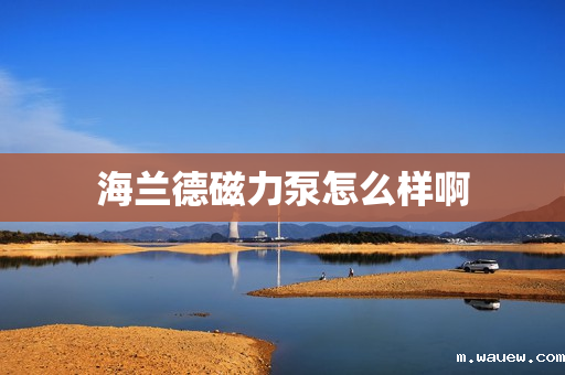 海兰德磁力泵怎么样啊 海兰德磁力泵怎么样啊