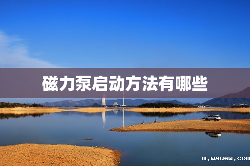 磁力泵启动方法有哪些 磁力泵启动方法有哪些